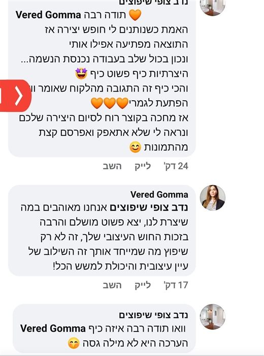 המלצת לקוח